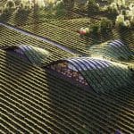 Euronews-noemde-het-wijnhuis-in-Kakheti-de-beste-objecten-van-groene-architectuur