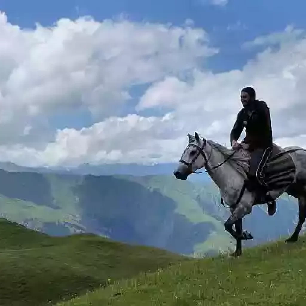 Horse-Tusheti-Georgie