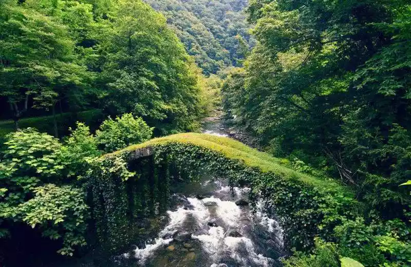 Dag 8: Borjomi / Borjomi Kharagauli Nationaal Park