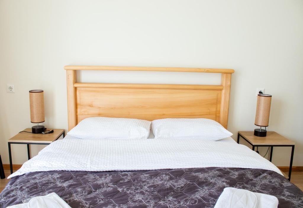 Hotel Aronia — voorbeeld verblijf Kazbegi