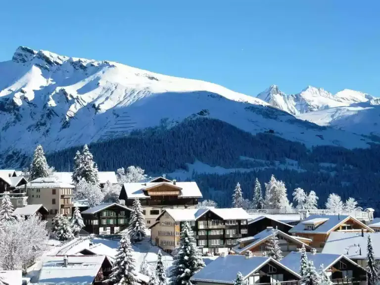 Besneeuwde pistes en dennenbossen bij Bakoerjani