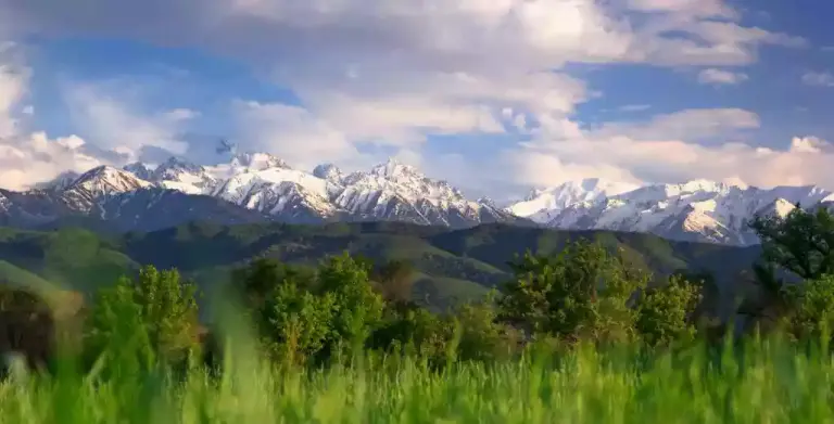 De toppen van de Kaukasus boven de weiden bij Kazbegi
