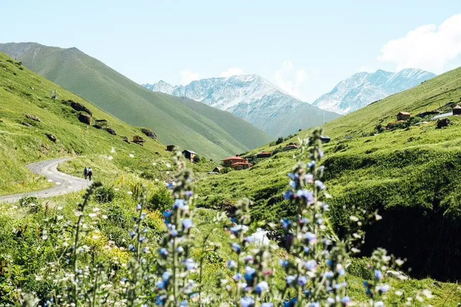 Zomerse alpenweiden in de Georgische Kaukasus