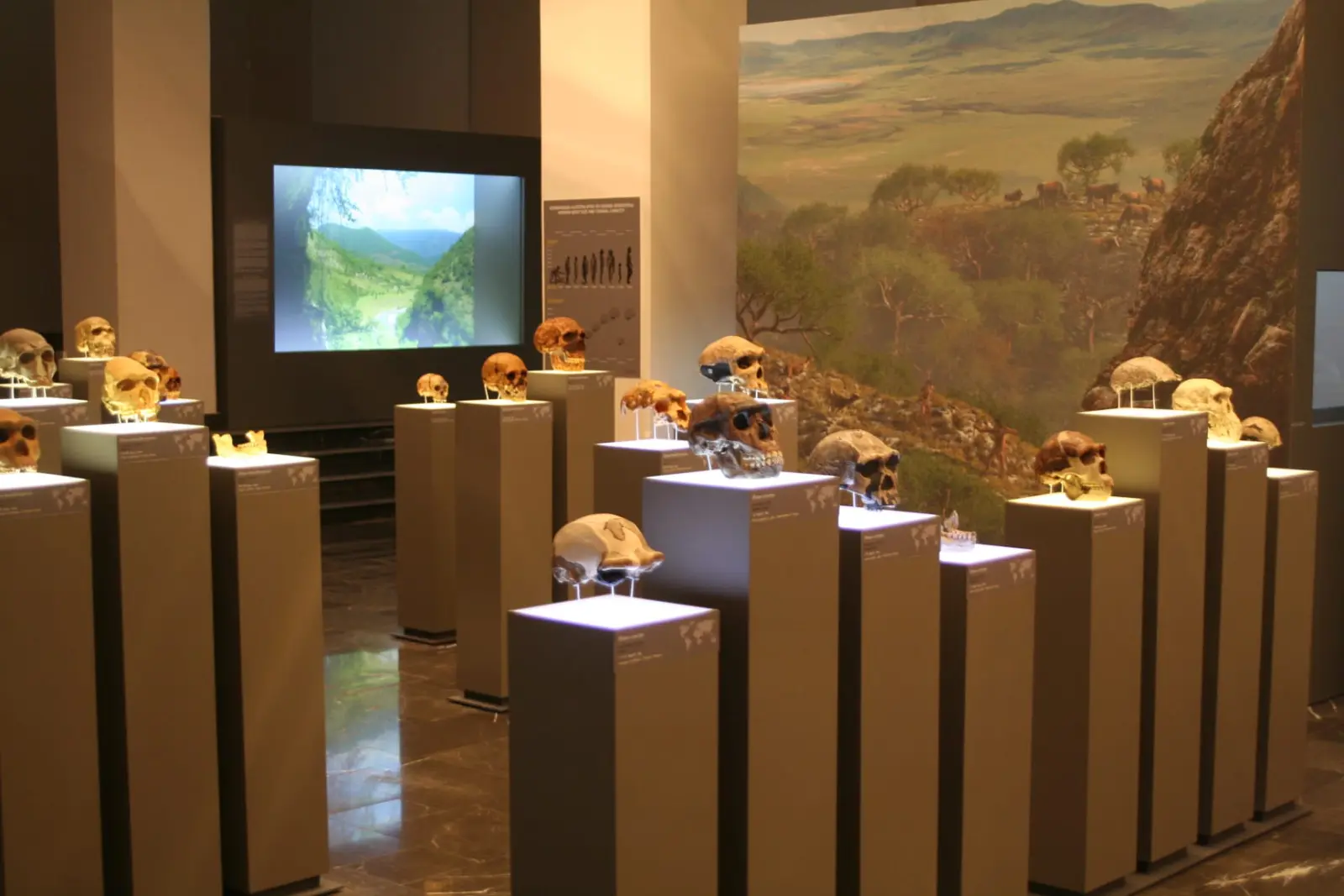 Georgisch Nationaal Museum