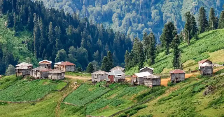Koetaisi – Ozurgeti – Gomismta