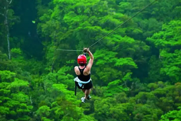 Zipline Signagi