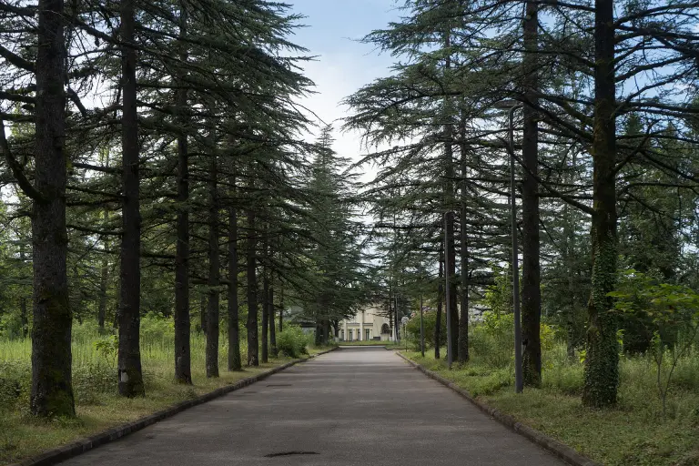 Het park van het oude kuuroord Tskaltubo